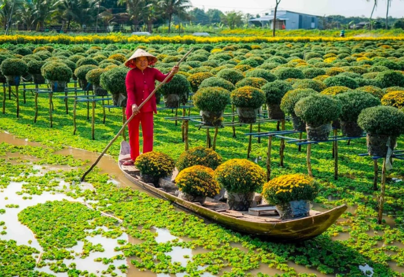 Lịch Sử Làng Hoa Sa Đéc Tại Đồng Tháp